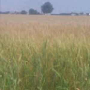 Meet your Posher, Shanna